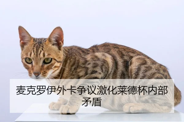 mai-ke-luo-yi-wai-ka-zheng-yi-ji-hua-lai-de-bei-nei-bu-mao-dun-2-516.jpg