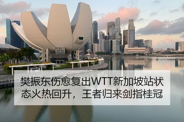 樊振东伤愈复出WTT新加坡站状态火热回升，王者归来剑指桂冠
